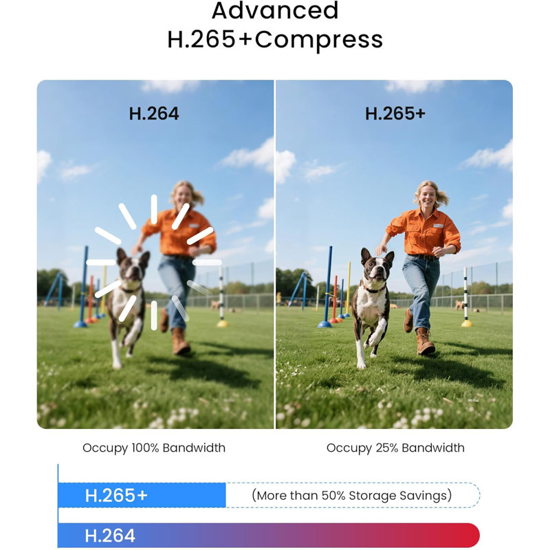 Système de sécurité 8CH 1 080 P avec 8 dôme 2MP Caméra extérieure, détection humaine, accès à distance