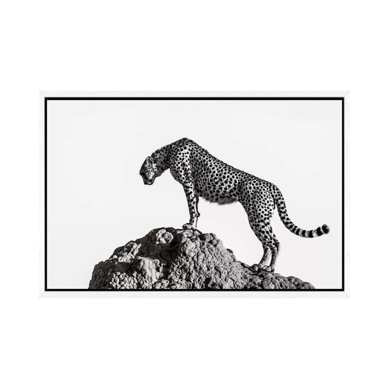 The Hunter by Ali - Print on Canvas, White Floater Framed, 66.04cm H x 101.6cm W x 3.81cm D