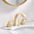 2-handle Bathroom Faucet with Drain Assembly-50623610-88750464