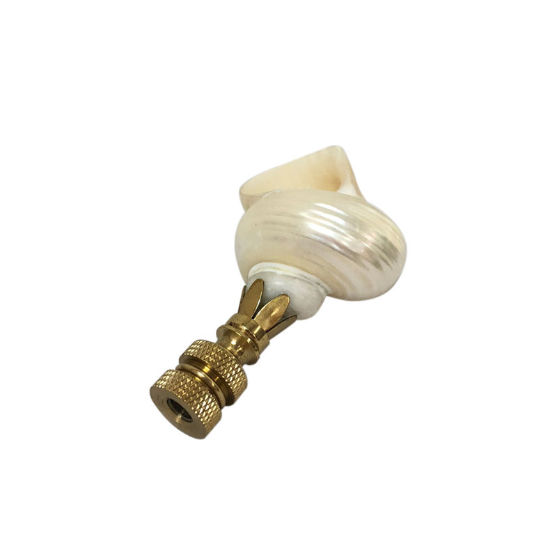 Faiteau de lampe en coquillage naturel, Laiton poli