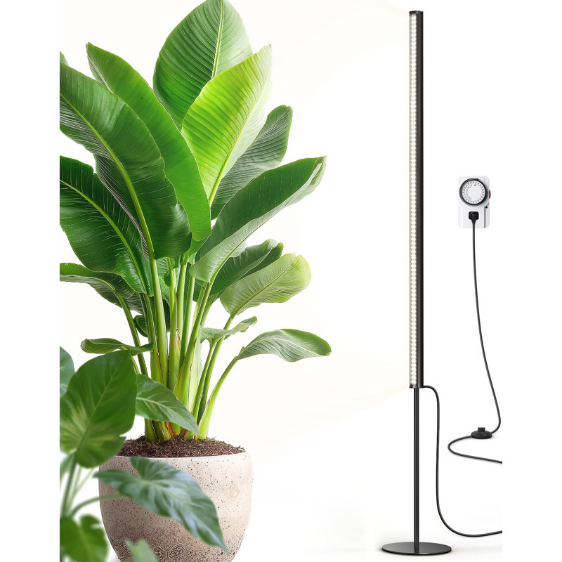 Éclairage de culture sur pied Barrina T2S pour plantes d'intérieur avec minuterie, 65 W, 5000 K, Ppfd élevé, spectre complet, lumières de croissance verticales de la série Tera, hauteur réglable de 5 pi à 5,6 pi, interrupteur au pied, conception sans éblouissement, noir