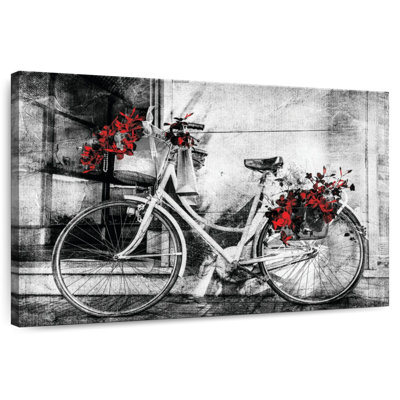 Mehar Bike Plants Pop