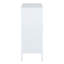 Akers 2 -Door 3 -Shelf-39864681