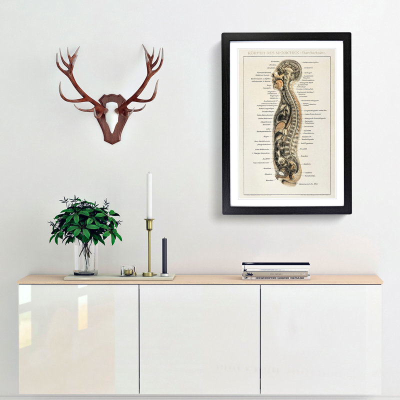 Anatomy Chart in German - Framed Print, 36cm H x 27cm W x 2cm D, Black Framed