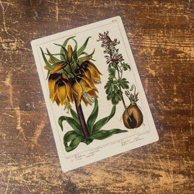 Handmade Plants & Flowers Wall Decor on Metal