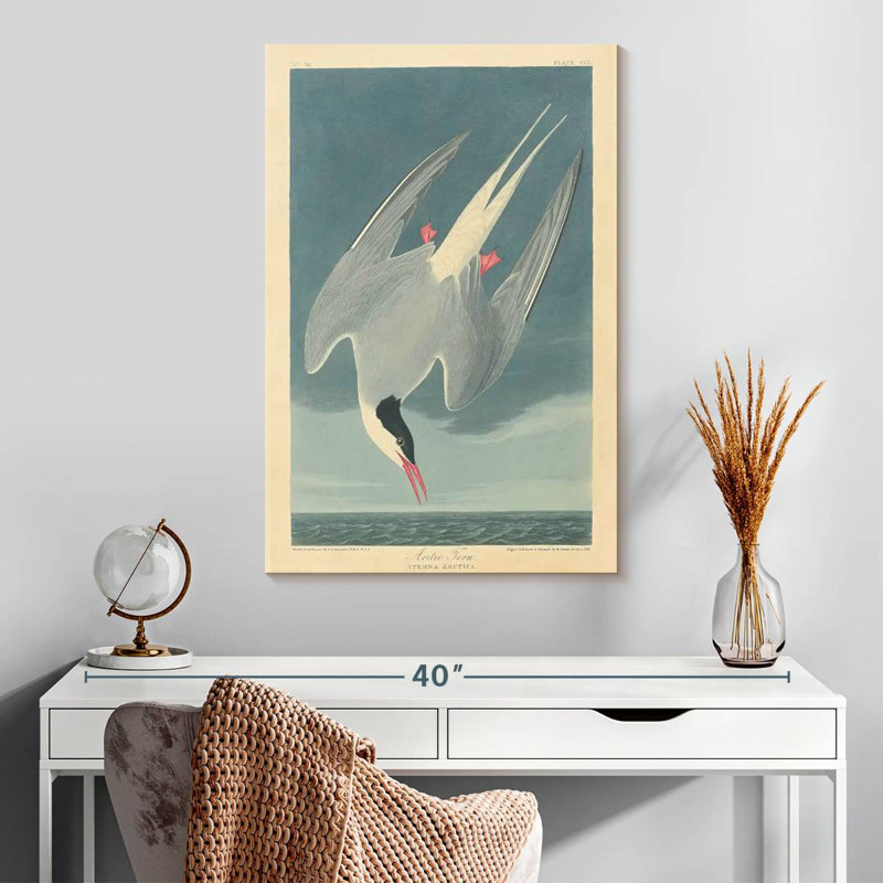Brampt Arctic Tern, 30" H x 20" W