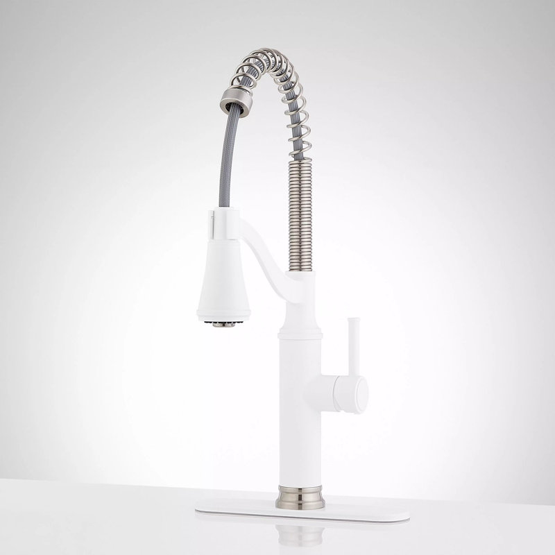 Caribana Single handle Kitchen Faucet