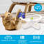 Papillon flottant interactif Agility pour l'enrichissement de l'exercice