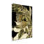 « tranquil tropical leaves vi », reproduction d’impression sur toile tendue-33418338