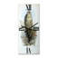 Horloge murale Bird Life-400581476
