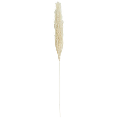Nantucket Dried Plant Tall Wheat Grass Decor Brown Natural Foliage