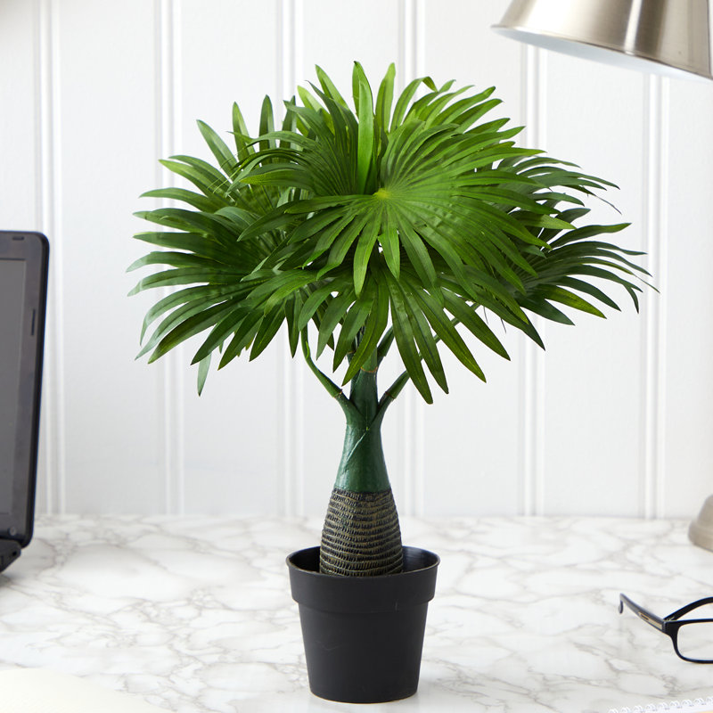 Plante de palmier artificielle 12,25" dans une doublure en pot