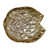Gold selected