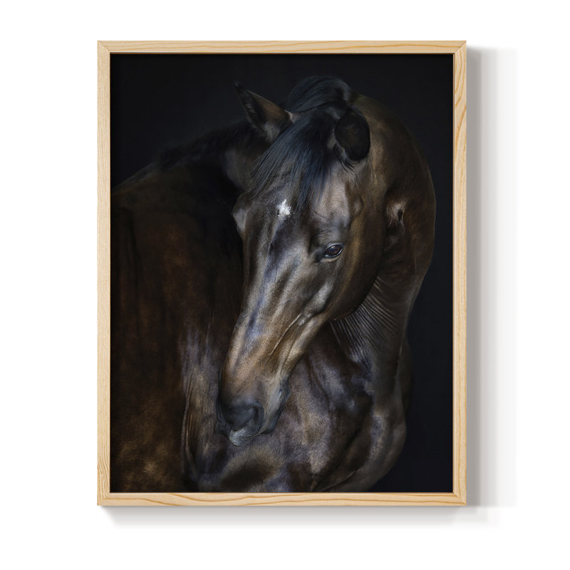 Sunlit Horses I, reproduction encadrée - bois massif, H 11 po x l 9 po