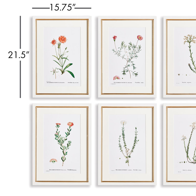 Études florales dans des tons de rosé
