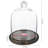 Vidu Display Clear Cloche with Wood Base
