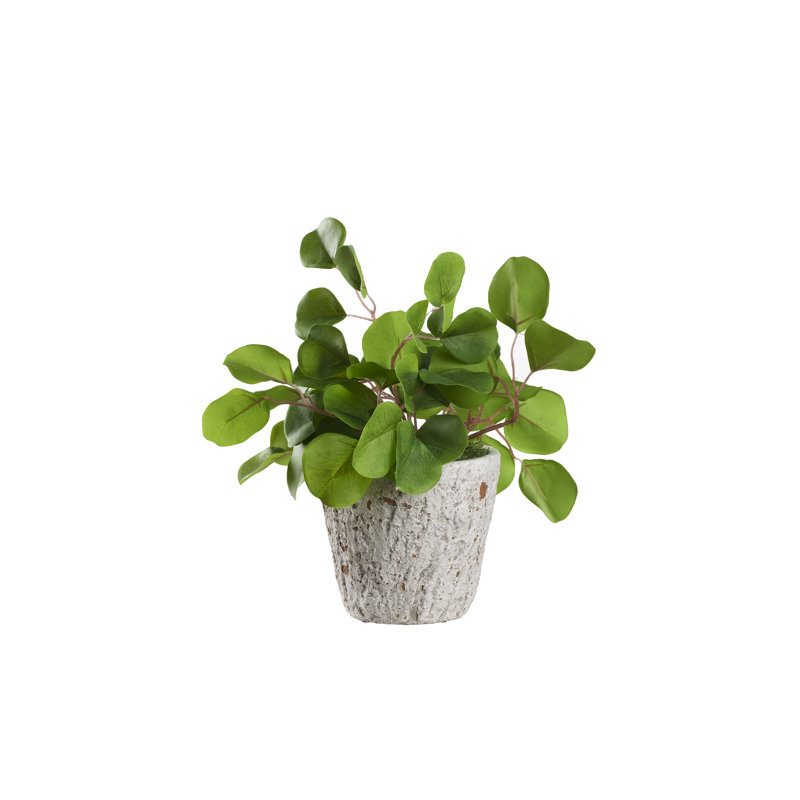Faux Eucalyptus Plant in Oak Wood Planter