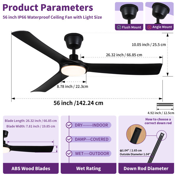 Product Dimensions