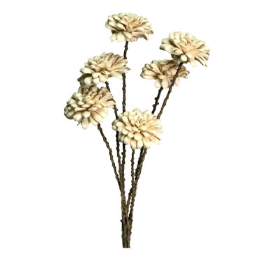 Mum Arrangement