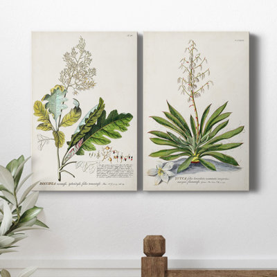 «Allurant Botanical I», ensemble de 2 reproductions d'art sur toiles