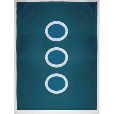 Elzy Plain Weave / Muslin Throw Blanket