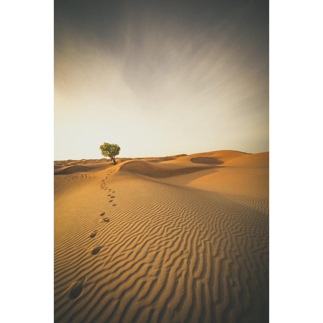 Ein einzelner Baum in der Wüste