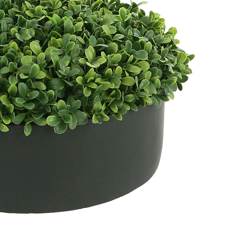 Boxwood 6" Artificial in Fiberstone Planter