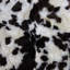 Anavilhanas One-of-a-Kind Sheepskin Rug
