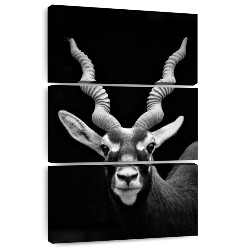 Brampt German Horned Antelope, 65" H x 42" W