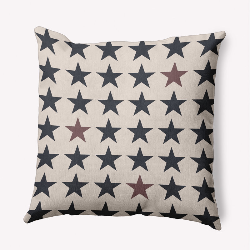 Housse et insert de coussin décoratif carré en polyester pour l'intérieur et l'extérieur, 16 po x 16 po
