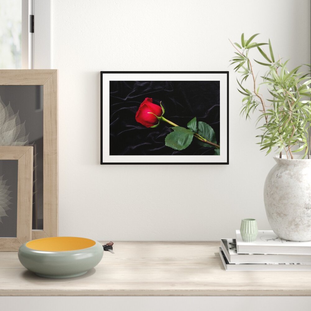 Gerahmtes Poster Rose