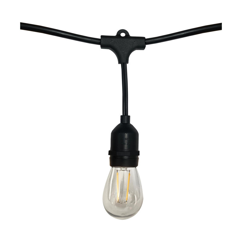 Mckelvey Indoor / Outdoor 12 - Bulb 288 in. Plug-in LED Standard String Light