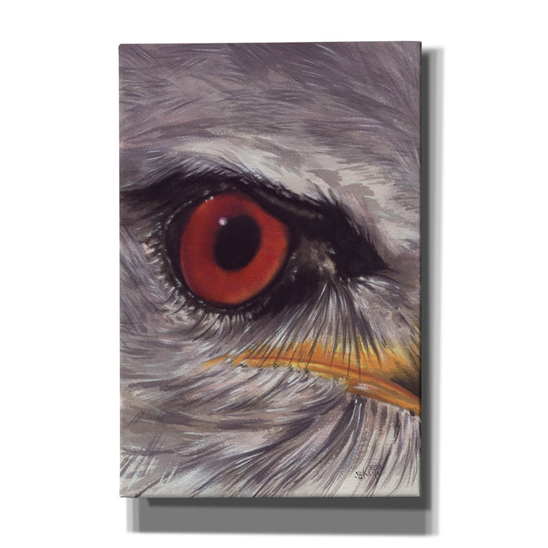 «Eye Catching Kite On Canvas» par Barbara Keith, H 18 po x l 12 po x P 0,75 po