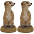Trou dans une statue de suricate africain