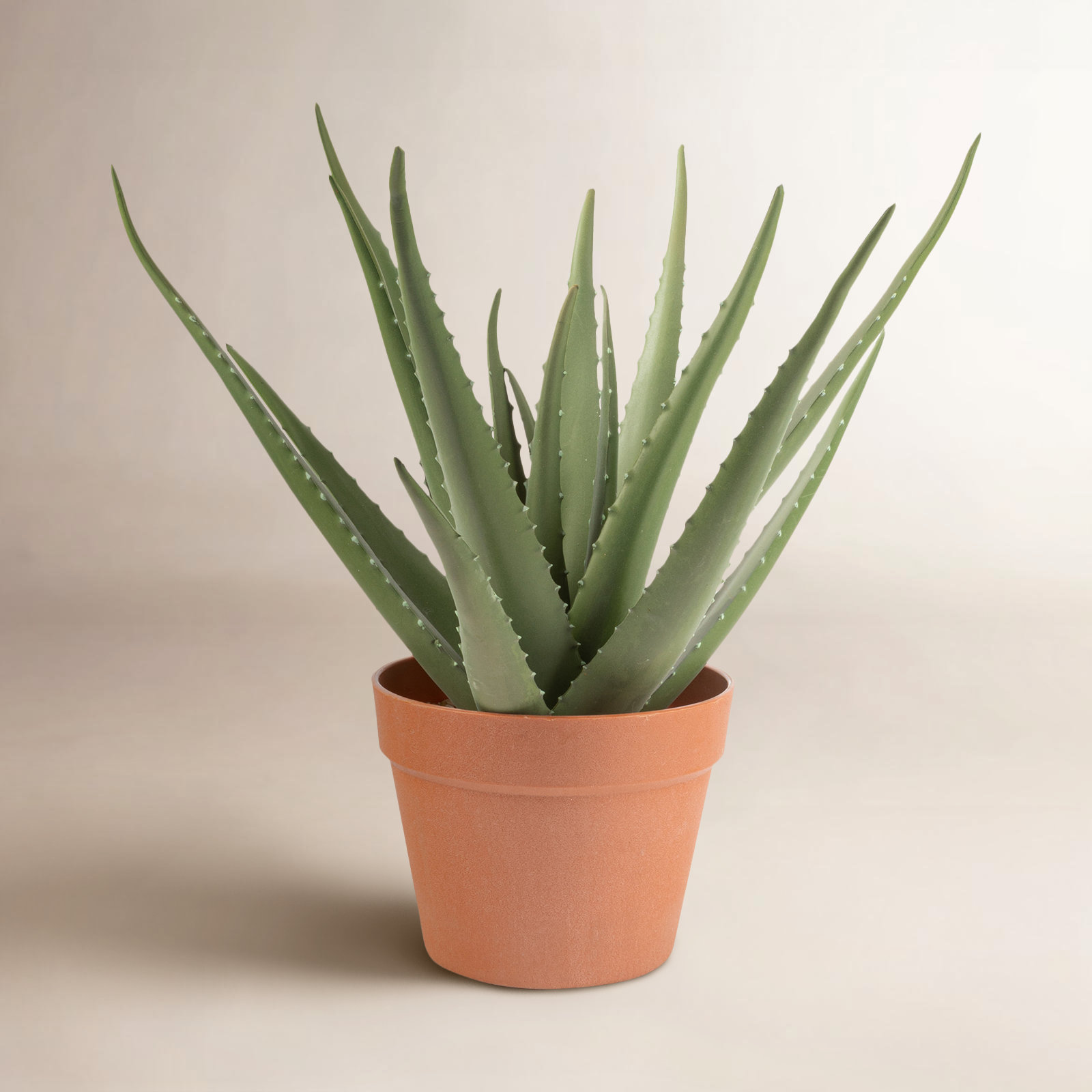 17'' Faux Aloe Plant in Pot