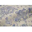Oriental Area Rug