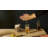 The Tending Box Stainless Steel Stirrer