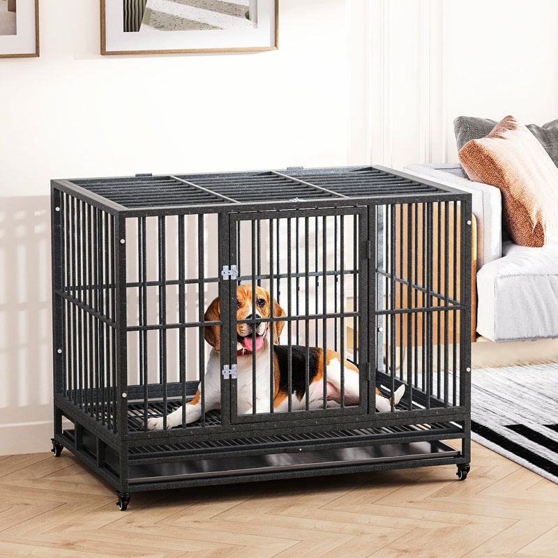 Chenil en métal gris avec roues verrouillables, porte double, plateau amovible, 43 po, magnifique niche pour chien 43 po