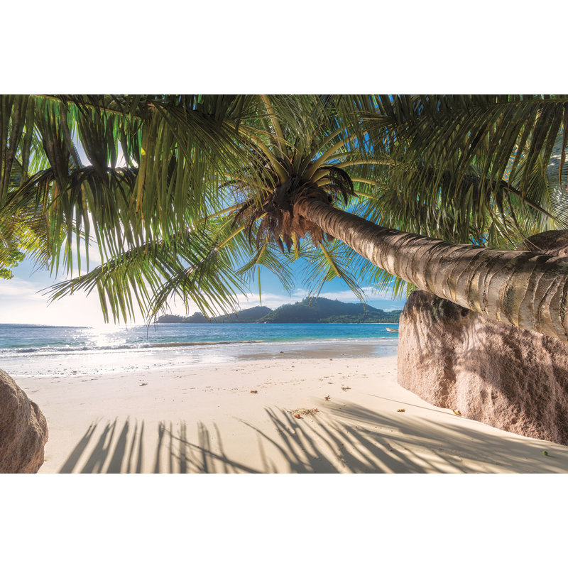 Panneau mural lisse L 8 pi x l 144 po Louis Palm Trees Louis
