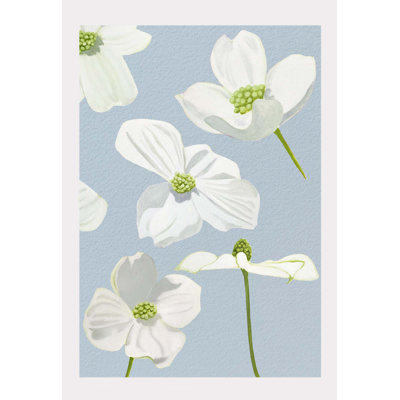 " White Dogwood Blossoms "