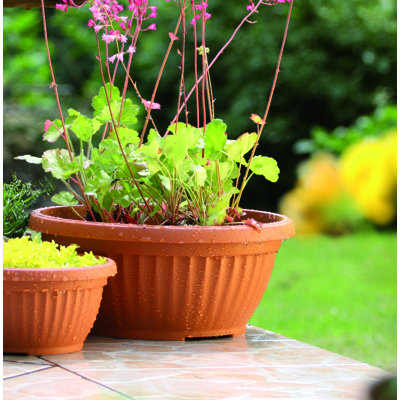 Johnstone Pot Planter