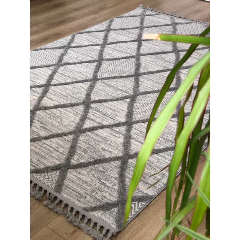 Vernesa Cotton Geometric Indoor / Outdoor Rug, Rectangle 2'8" x 5'