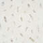Tuzla Geometric Paper Wallpaper Roll-1469303940