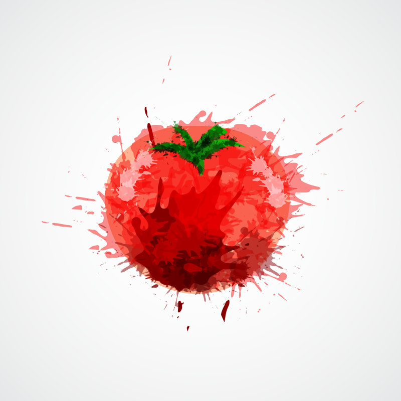 " Tomato " Painting Print, 36" H x 36" W
