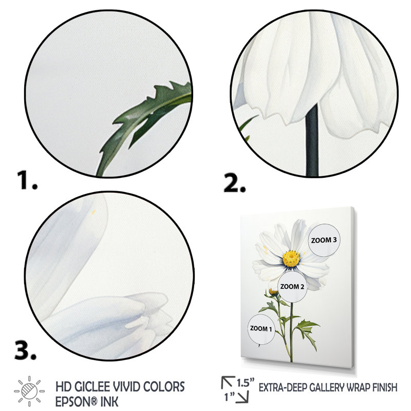 «White Daisies Sublime Simplicity II», reproduction d'art sur toile florale, Cadre flottant blanc, H 20 po x l 12 po x P 1 po