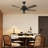 Aniek 52'' Ceiling Fan with Light Kit