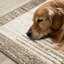 Tapis crème beige rétro Faira-102210987