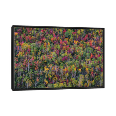 Colour Palette by Miroslaw - Floater Frame Print on Canvas