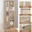 Rielynn 180cm H x 60cm W Standard Bookcase-140124358