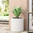 MGO PLANTER